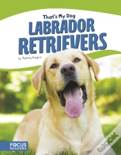 Capa do artigo Labrador Retrievers