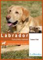 Labrador - Preview