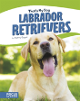 Labradour Retrievers - Preview