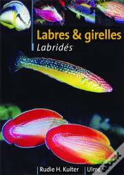 Labres Et Girelles ; Guide Illustre Des Labrides