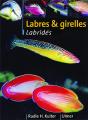 Labres Et Girelles ; Guide Illustre Des Labrides - Preview