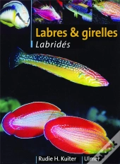 Labres Et Girelles ; Guide Illustre Des Labrides