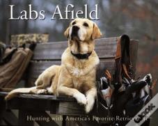 Labs Afield