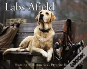 Capa do artigo Labs Afield