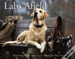 Capa do artigo Labs Afield