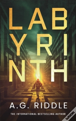Capa do artigo Labyrinth