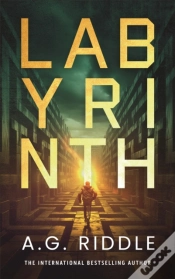 Capa do artigo Labyrinth