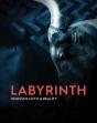 Labyrinth - Preview