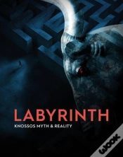 Capa do artigo Labyrinth