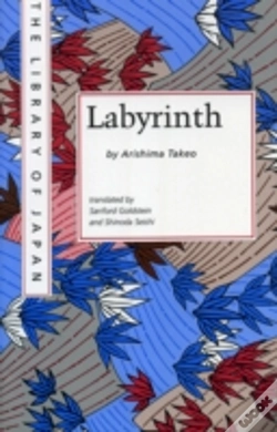 Capa do artigo Labyrinth