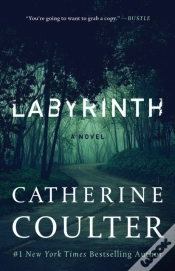 Capa do artigo Labyrinth