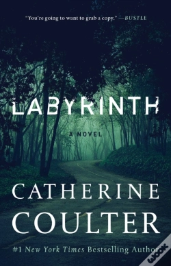Capa do artigo Labyrinth