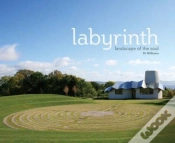 Capa do artigo Labyrinth