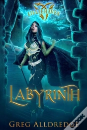 Capa do artigo Labyrinth