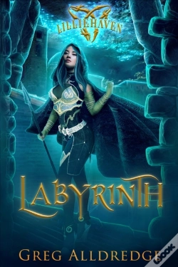 Capa do artigo Labyrinth