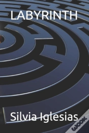 Capa do artigo Labyrinth