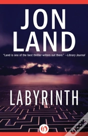 Capa do artigo Labyrinth