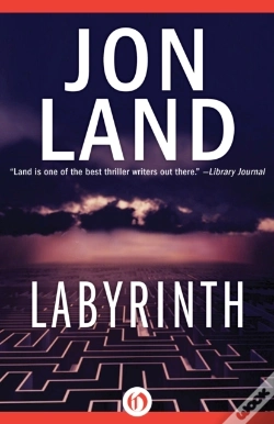 Capa do artigo Labyrinth