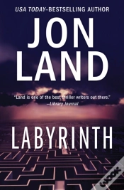Capa do artigo Labyrinth