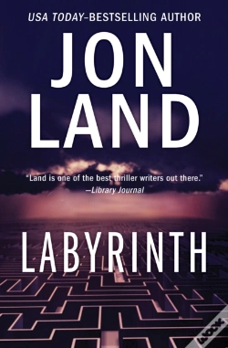 Capa do artigo Labyrinth