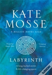 Capa do artigo Labyrinth