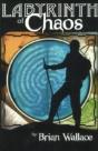 Labyrinth Of Chaos - Preview