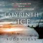 Labyrinth Of Ice - Preview