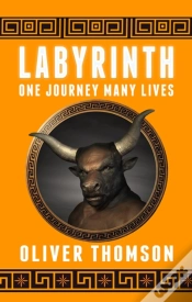Capa do artigo Labyrinth