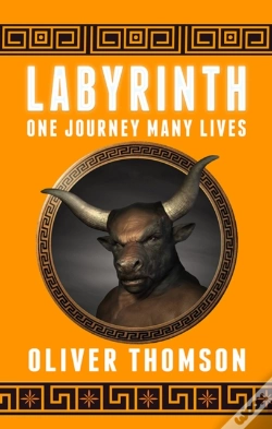 Capa do artigo Labyrinth