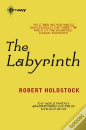Capa do artigo Labyrinth