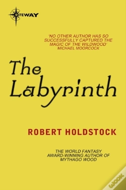 Capa do artigo Labyrinth
