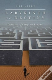 Labyrinth To Destiny