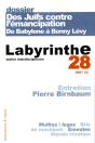 Labyrinthe - Atelier Interdisciplinaire T.28; Des Juifs Contre L'Émancipation: De Babylone À Benny Levy - Preview