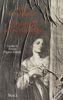 Capa do artigo Labyrinthe Des Sentiments