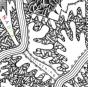 Labyrinthine - CD - Preview
