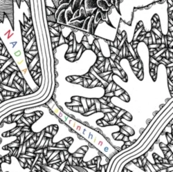 Capa do artigo Labyrinthine - CD