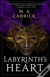 Capa do artigo Labyrinth