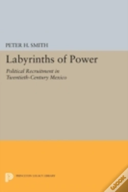 Capa do artigo Labyrinths Of Power