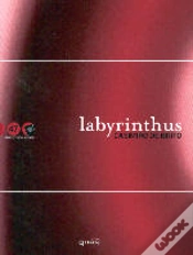 Capa do artigo Labyrinthus