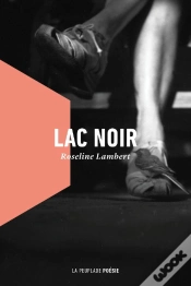 Capa do artigo Lac Noir