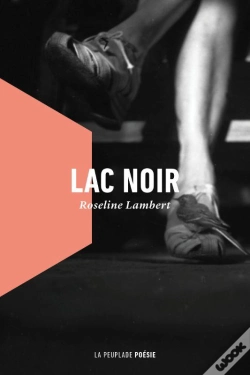 Capa do artigo Lac Noir