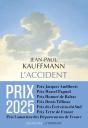 L'Accident - Preview