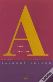 L'Acteur Et Ses Raisons ; Melanges En L'Honneur De Raymond Boudon