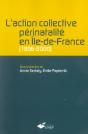 L'Action Collective Perinatalite En Ile De France, 1996-2000 - Preview