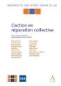 L'Action En Réparation Collective - Preview