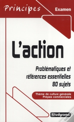 Capa do artigo L'Action ; Problématiques Et Références Essentielles, 80 Sujets ; Thème De Culture Générale Prépas Commerciales (Édition 2007/2008)