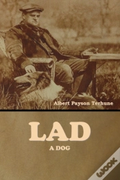 Capa do artigo Lad: A Dog