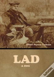 Capa do artigo Lad: A Dog