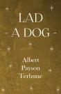 Lad - A Dog - Preview