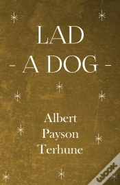 Capa do artigo Lad - A Dog